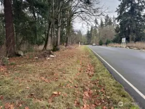 Facing South down 52nd Ave. S. from west wide of property.