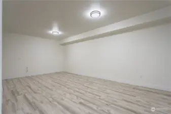 Media Room or exercise room