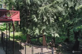 Backyard view, upper deck, lower space with dog kennel (can stay or go) and woods to go exploring and watch the deer.