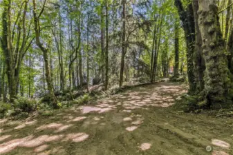 Driveway entry to peaceful and secluded setting