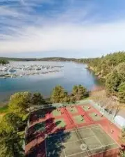 Tennis and pickleball courts (only if you are in rental pool)