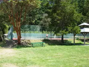 Tennis and pickleball courts (only if you are in rental pool)