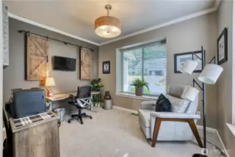 Bedroom/office on the main floor is spacious and filled with natural light.