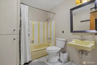 Lower Level Bathroom