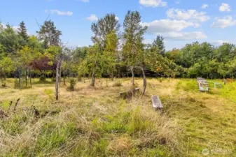 Community Orchard and Beehives