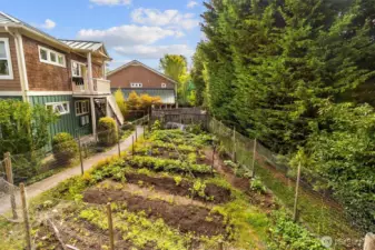 Community gardens