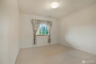 Large secondary bedroom on lower level.