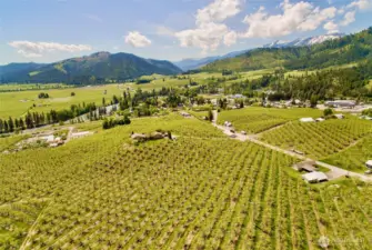 former orchard has now been cleared, as county has awarded pre lim project approval and now offered for sale