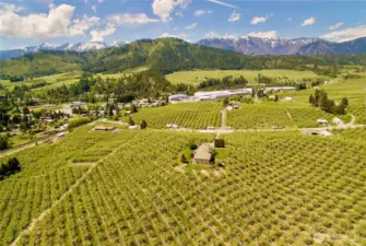 looking West over project area with Peshastin to left and Leavenworth over ridge to the west.  Orchard has now been cleared and project is for sale