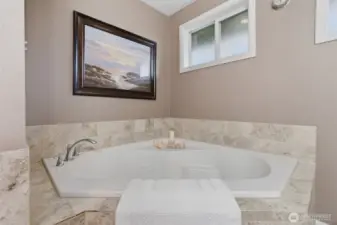 Soaking tub in main bath