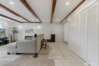 Storage closet off large living area in lower level