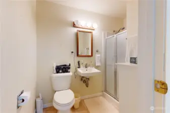 Lower level bathroom.