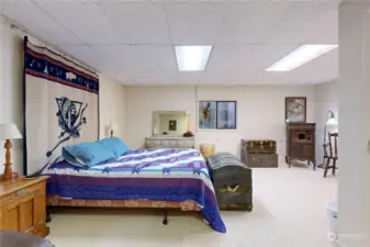 Lower level bedroom with 2 egress windows.