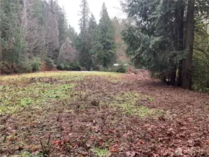 Shot from north property line looking south. This is a LEVEL lot and perfect for a manufactured home or a stick-built home.