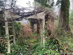 Overgrown arbor entrance to greenhouse