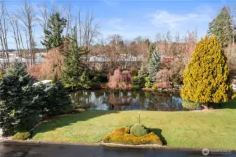 Sit and take in the tranquil setting at the pond. Absolutely stunning!