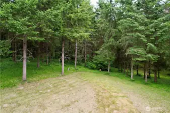 Lawn areas surround the one level home at 818 NW 349th St, La Center WA in Clark County. 40 acres PNW property with creek access and currently in a timber management plan.