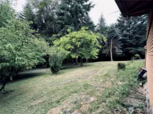 Lawn areas with fruit trees surround the single level home at 818 NW 349th St, La Center WA in Clark County.