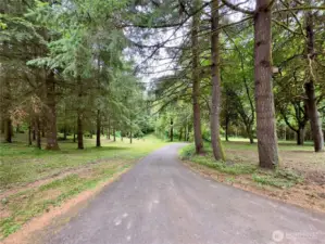 Looking towards the main road and barn area of the single level home at 818 NW 349th St, La Center WA in Clark County