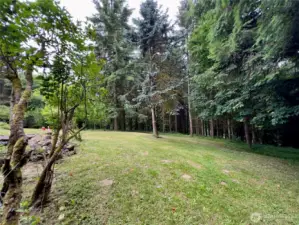 Side yard and view towards patio of the single level home at 818 NW 349th St, La Center WA in Clark County