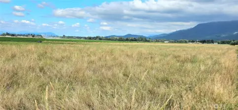 Most of the property is currently used as a large hay field.