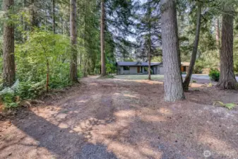 Potential for a driveway to the backyard