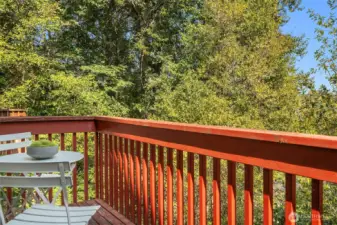 Deck off Living Room