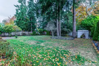 Large lot features multiple blooming plants