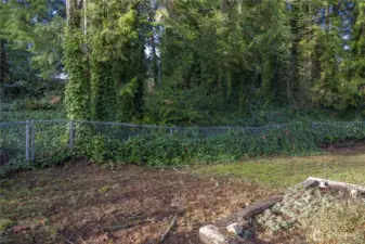 The yard extends past the fence. .42 Acre lot