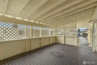Large covered Patio