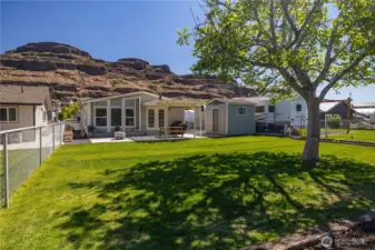 Love the shade under the tree in the hot summer sun.
