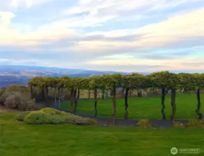 All the vineyards one could run through!