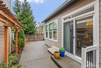 In spring the yard will be in bloom. Hummingbirds are used to finding food here.