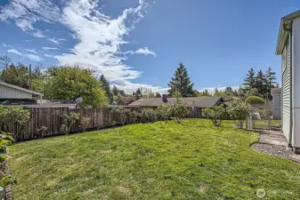 Backyard with Mature Rose Garden