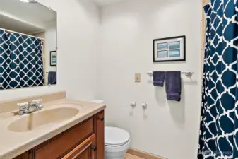 Downstairs bath