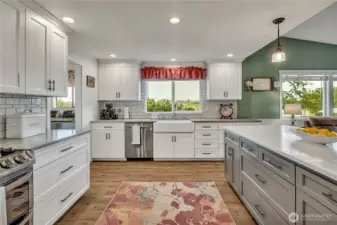 Large gourmet kitchen