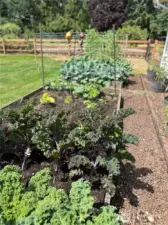 Raised bed garden