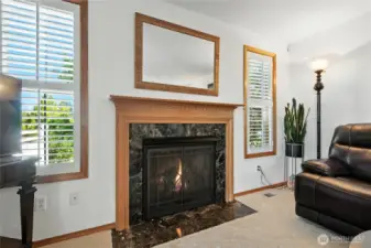 Propane Fireplace