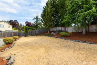 Huge back yard