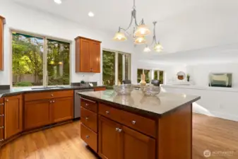Wonderful chef's kitchen open to....