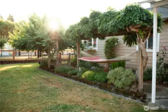 The landscape includes a culinary herb garden, white table grapes on an arbor, and a productive berry patch with raspberries, strawberries, and blueberries. An established orchard features multiple apple varieties, Italian prunes, Asian plum, pear, cherry, and wild field apples. Raised garden beds sit within a low-maintenance English-style garden designed to support pollinators, alongside a lavender garden with English, Spanish, and French varieties.