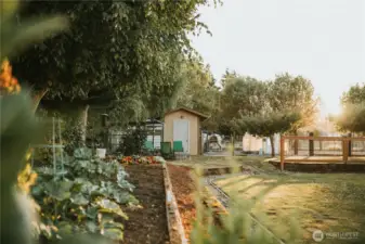 The landscape includes a culinary herb garden, white table grapes on an arbor, and a productive berry patch with raspberries, strawberries, and blueberries. An established orchard features multiple apple varieties, Italian prunes, Asian plum, pear, cherry, and wild field apples. Raised garden beds sit within a low-maintenance English-style garden designed to support pollinators, alongside a lavender garden with English, Spanish, and French varieties.