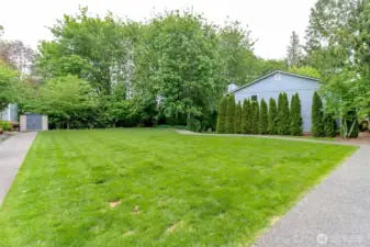 Outside field perfect for playing kids and pets