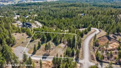 Lightly treed lot, ready for all your dreams.