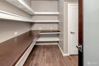 Massive Walk-in Pantry