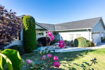 Stunning mature plants throughout