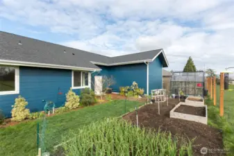 Raised beds