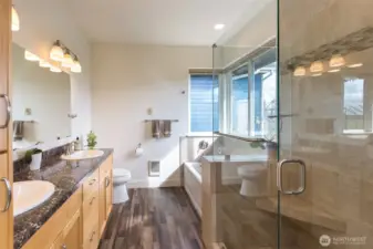 Primary bathroom