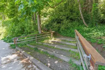 Hiking trails in Kinnear Park.