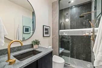 Lower Level Bathroom